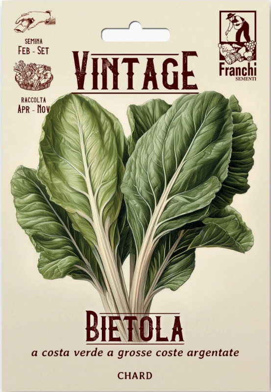 Burak liściowy Swiss Chard White Silver nasiona 6g FRANCHI sklep rajogrodnika